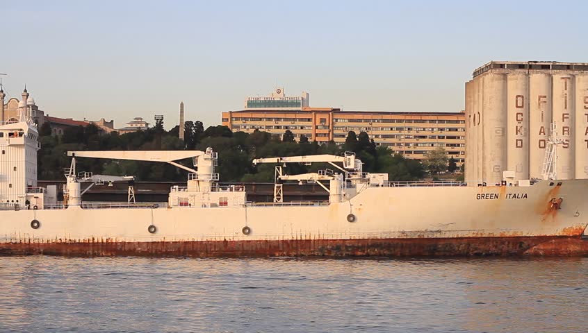 ISTANBUL - MAY 7: Reefer ship GREEN ITALIA (IMO: 9045780, Bahamas) docked in