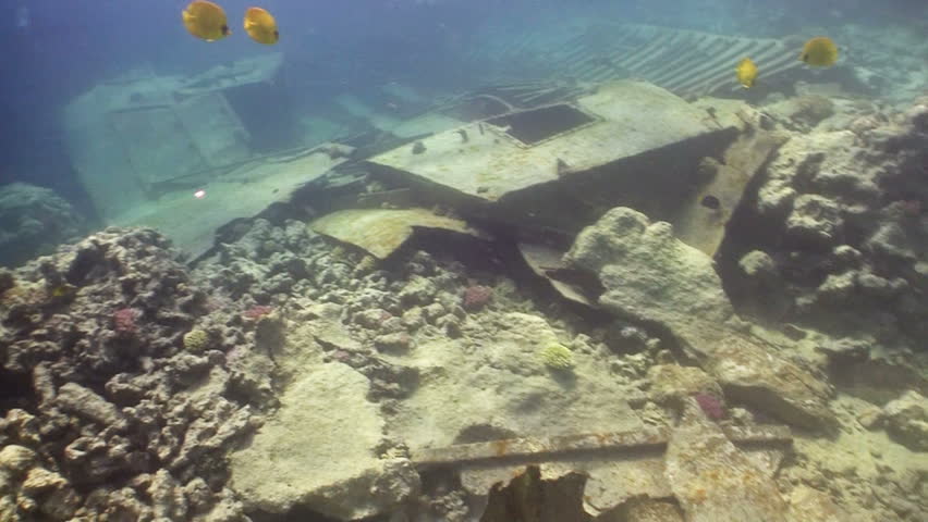 Shipwreck on the Seabed, Red Sea