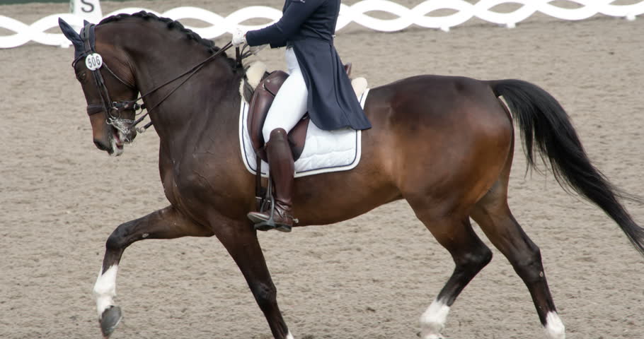 professional-horse-riding-a-rider-stock-footage-video-100-royalty