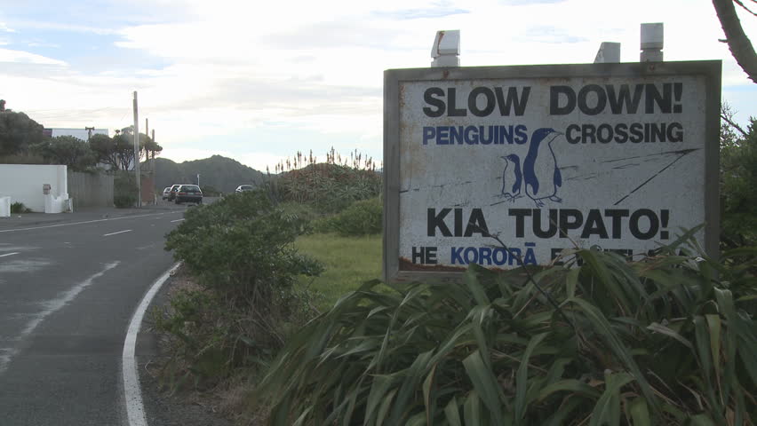 penguins crossing sign