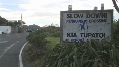 penguins crossing sign Stock Video