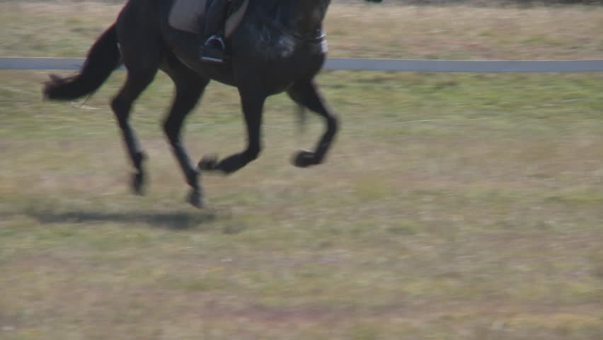 horse legs running in slow motion