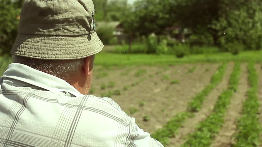 Farmer working in the garden with the help of a shovel digging the ground, on a sunny day. Preparing for the cultivation of vegetables.