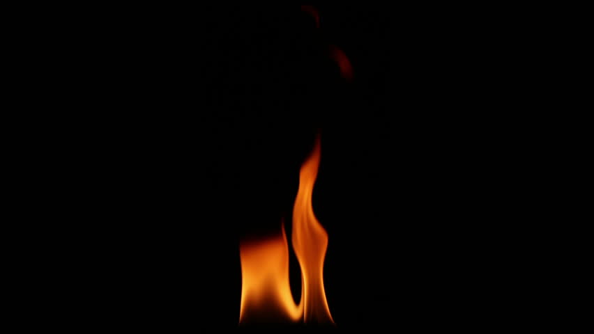 Flame tongue burning on black background in high definition