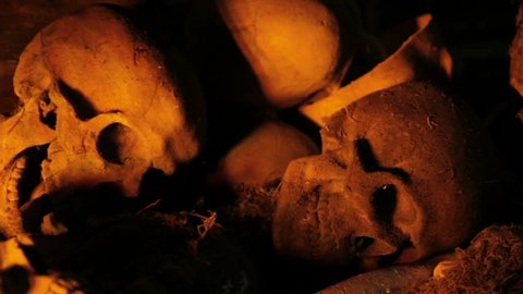 Skulls revealed from the shadows