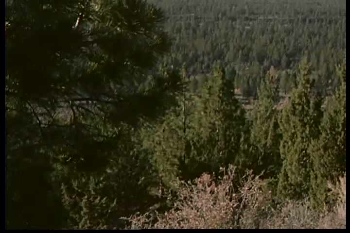 1970s: Snow-capped Oregon mountains are shown in winter; choppy waves hurl in 1970.