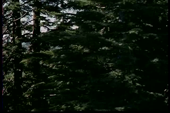 1970s: Evergreen trees and lakes are shown in Oregon; they are also pointed out on a map in 1970.