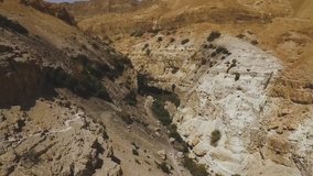 Ein Gedi nature reserve - Israel, Moshaw, green, spring, trees, next to the dead sea - Clip 4 Drone shot