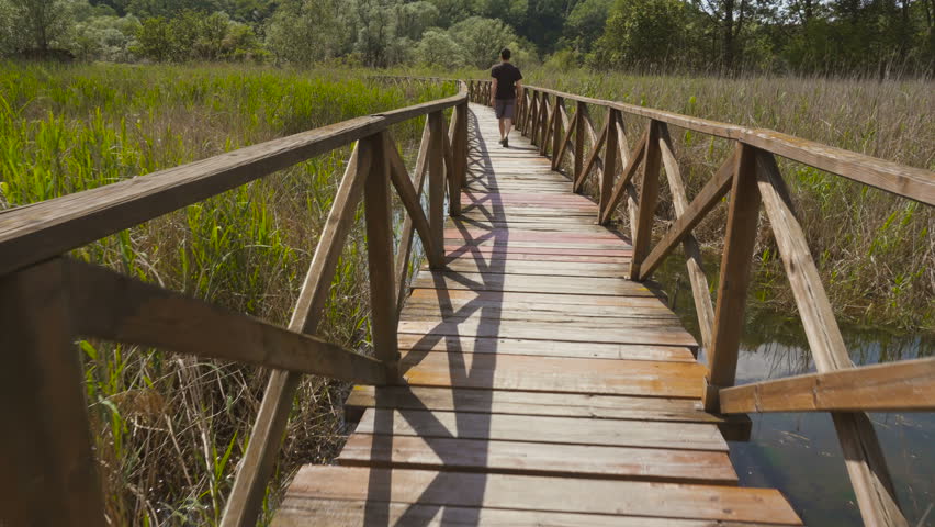 Young Man Walking on a Wood Bridge in the Swamp in Summer, Seen from Behind