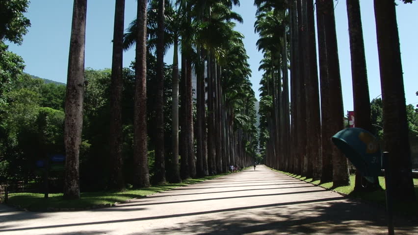 Botanical Gardens in Rio de Janeiro