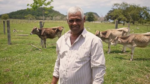 Everyday life for farmers with cows in South American countryside. Peasants work in America with livestock in family country ranch. Manual job and people in farm. Happy grandfather smiling at camera