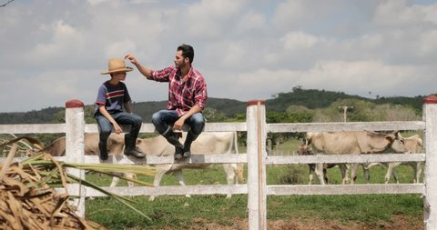 Everyday life for farmer with cows in South American countryside. Peasant work in Latin America with livestock in family country ranch. Manual job and people in small farm, happy father and son