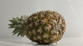 Fresh exotic pineapple on white slow tilt 4K 2160p 30fps UltraHD footage -  Ananas comosus tropical fruit close-up 4K 3840X2160 UHD tilting video
