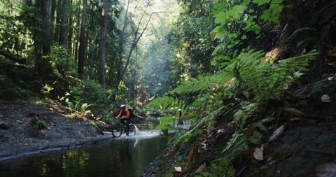 Mountain bikers riding through stream in lush green rainforest towards camera during adventure extreme race. Wide angle tracking shot with motion exterior daytime.