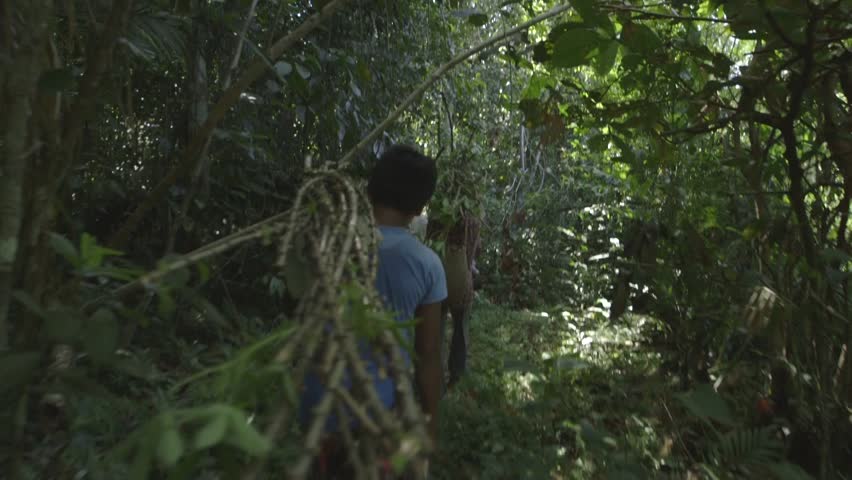 Indigenous People Walking In The Stock Footage Video 100 Royalty Free 27601750 Shutterstock