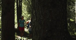 Two smiling women friends walking in sunny forest woods. Group of friends summer adventure journey in mountain nature outdoors. Travel exploring Alps, Dolomites, Italy. 4k slow motion 60p video