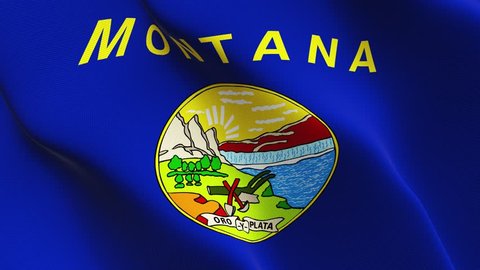 Montana US State flag waving seamless loop in 4K and 30fps. United States of America montana loopable flag with highly detailed fabric texture.