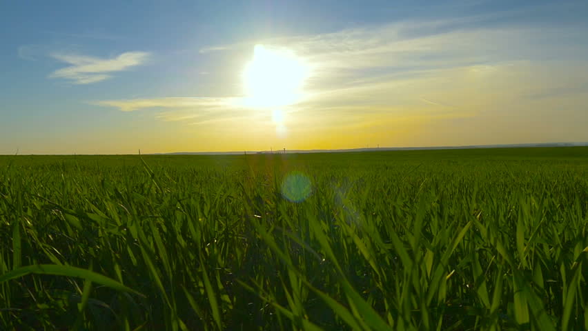 Green grass and blue sky against the background of an orange sunset | Shutterstock HD Video #27623041