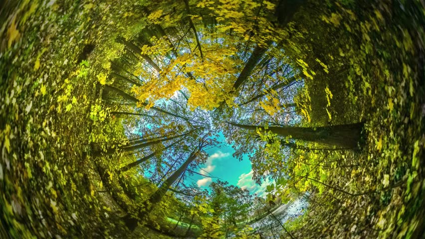 Spherical Panorama of Forest, Video 360 Degree Rabbit Hole Planet 360 Degree, Timelapse. Clear Sky Over Trees, Clouds Are Floating Over the Park, Yellow Leaves Are Fluttering. Woodland in Opole, Royalty-Free Stock Footage #27623740