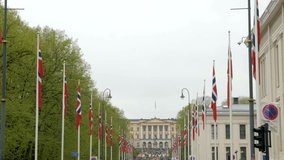Flags in Oslo at the 17th of May national day, Norway, wide - Powered by Shutterstock - Get 15% off with code: PIKWIZARD15