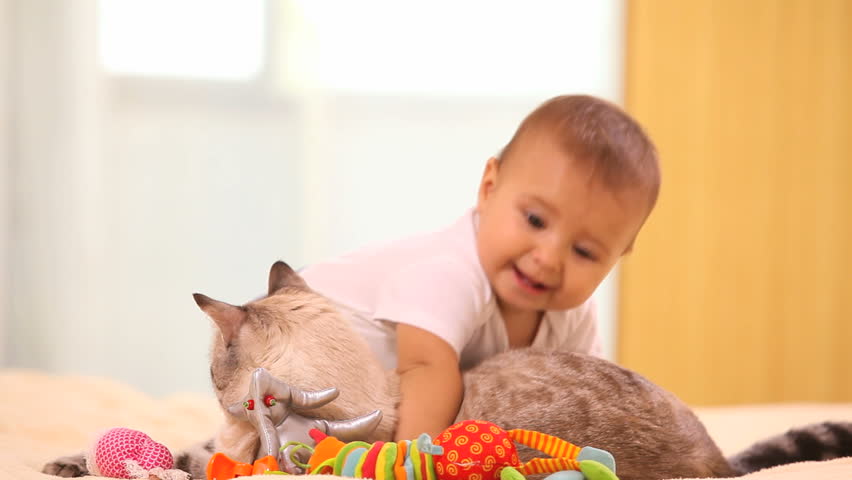 Adorable baby boy with cat sitting on the bed