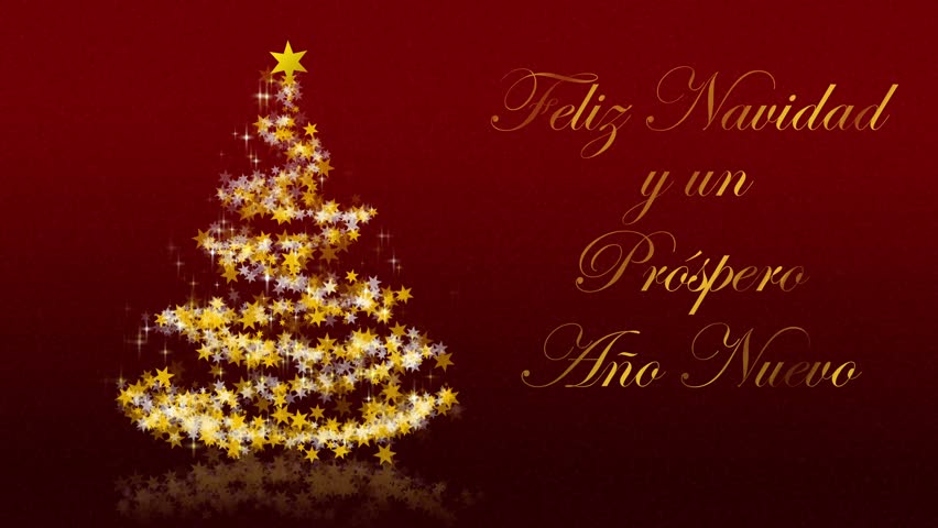 Christmas Tree With Glittering Stars Stock Footage Video 100 Royalty Free Shutterstock