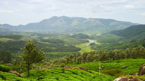 Kerala, India. Tea plantations in Munnar, Kerala in India with cloudy sky and Western Ghats mountain range at the background. Time-lapse of green forest during the day