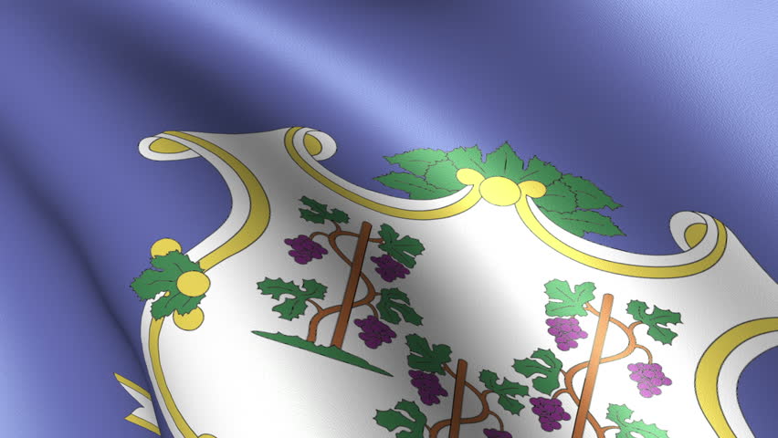 Connecticut State Flag Waving