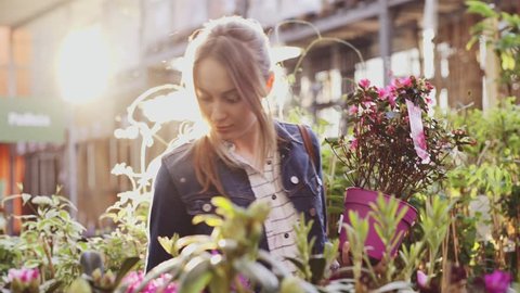 Woman Buying Flowers in a Sunlit Garden Shop. 4K. Young woman shopping for decorative plants on a sunny floristic greenhouse market. Home and Garden concept.