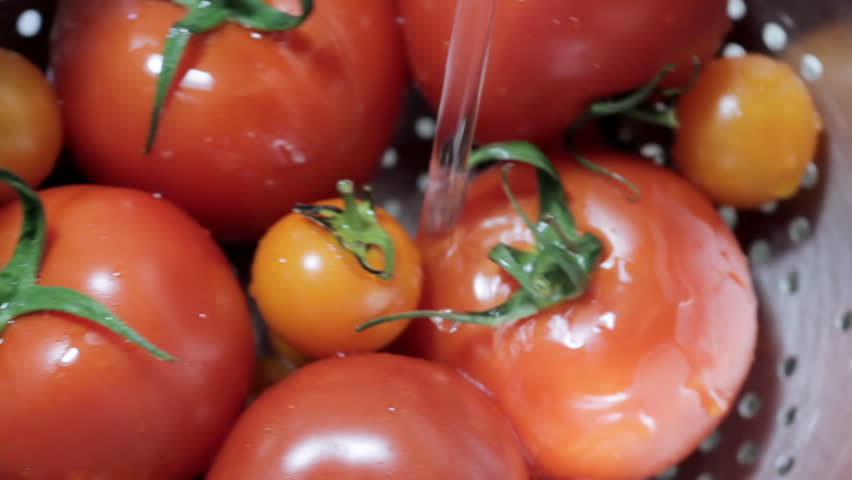 Washing Tomatoes