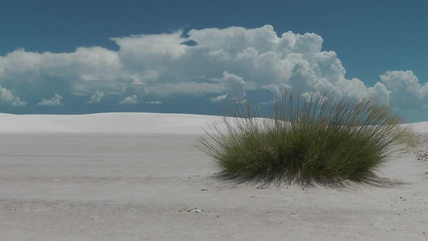 Clump of grass with white sand and blue sky with clouds
