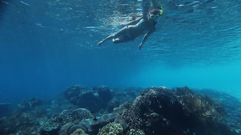 Underwater scene with young woman snorkeling over coral reef in tropical sea