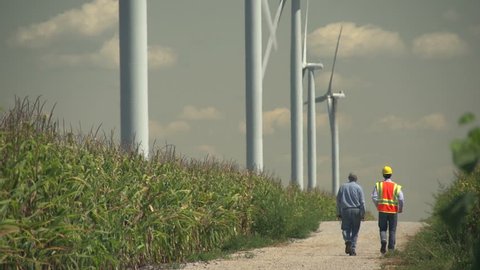 Farmer and engineer walking near windmills, farm