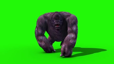 Gorilla Walkcycle Front Green Screen 3D Rendering Animation