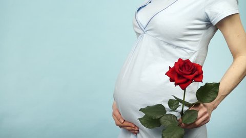Pregnant woman wearing nightdress touching caressing her belly while holding red rose flower, on blue. Pregnancy, motherhood, baby anticipation and happiness concept. 4K ProRes HQ codec