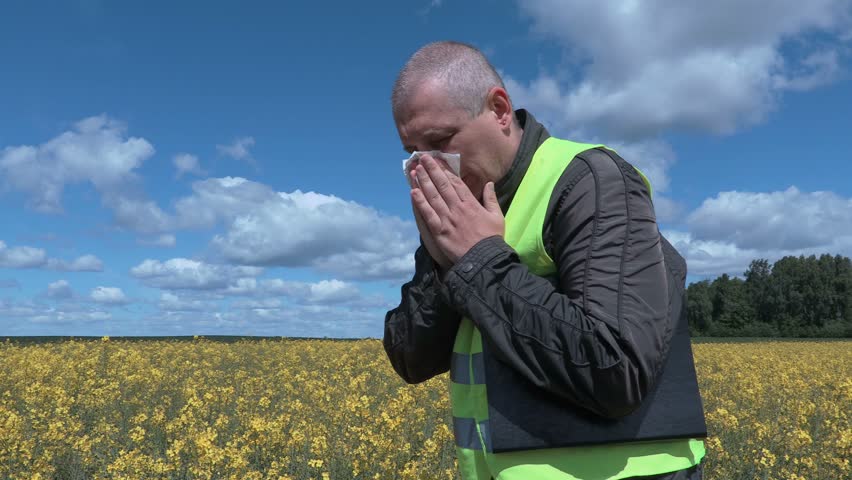Farmer standing in rapeseed field and sneezing