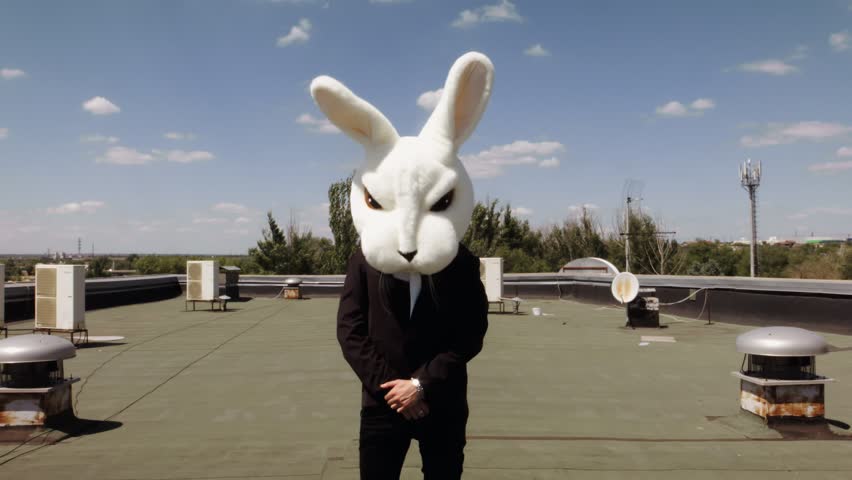 A man in a hare on the roof. Rabbit on the roof. The rabbit looks at the camera.