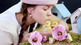 Portrait, a pretty young woman with two pigtails and in a funny pink hat playing with small yellow ducklings. Studio video with thematic decor.
