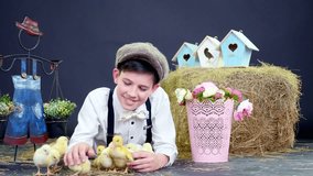 A rustic, stylishly dressed boy playing with ducklings and chickens, a haystack in the background, colored bird houses, and flowers.studio video shooting with a thematic decoration