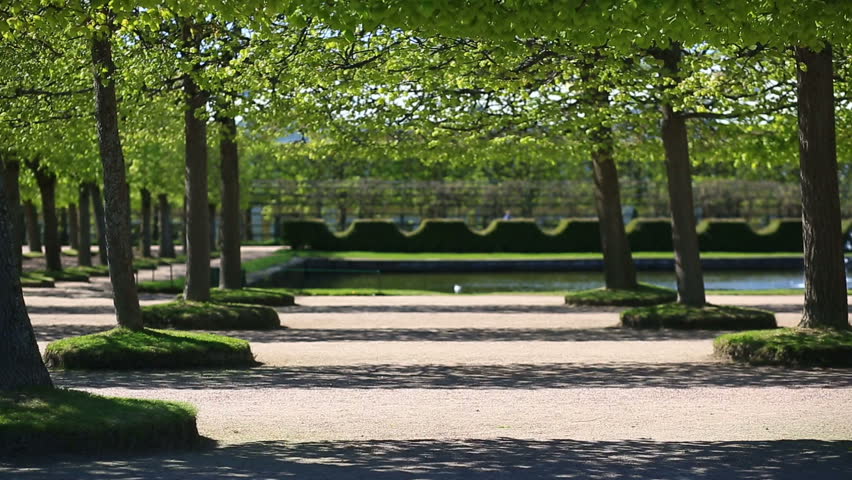 A girl in a pink coat with sneakers and sunglasses walks along the park alley