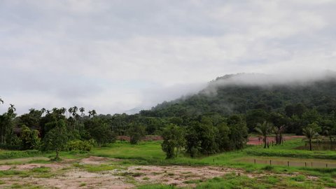 Wide shot on tropic rainforest jungle, mist, fog, rain, clouds move in time lapse footage. Green landscape.