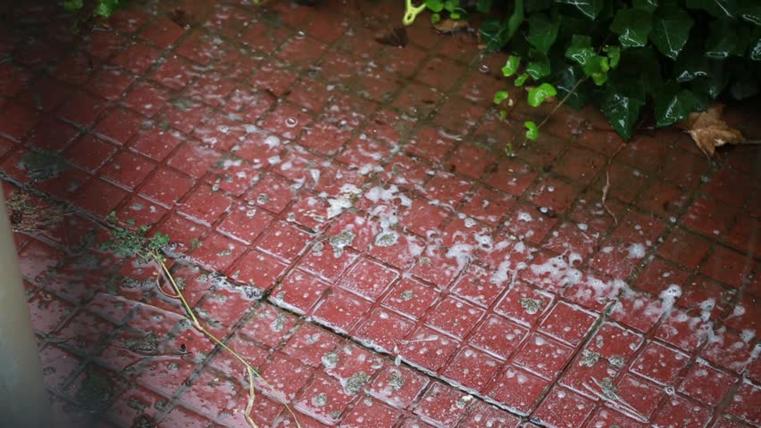 Raindrops falling on ivy leaves in garden
