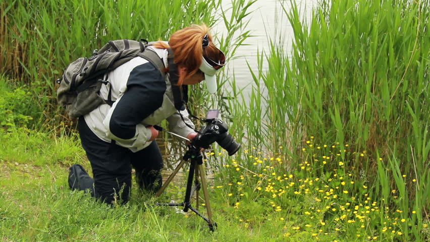 Woman taking pictures of buttercups near the lake