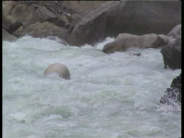 Down the mountain river