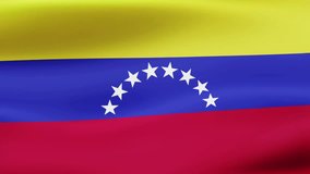 Loop animated flag of Venezuela