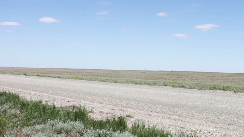 A deserted road in the steppe along which cars drive.Landscape in the Republic of Kalmykia, Russia. Desert steppe against the blue sky