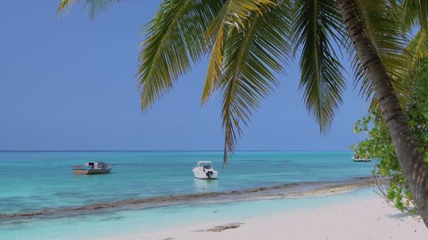 Speedboats moored at the sea. View from Maldives island through palm tree leaves. Travel destinations 
