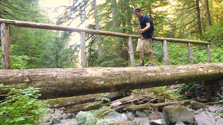 Model released man hiking on log foot bridge over river into through thick