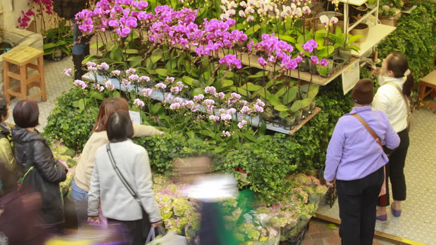 HONG KONG - JANUARY 23: Time lapse of Hong Kong Flower Shop, The Flower Shop