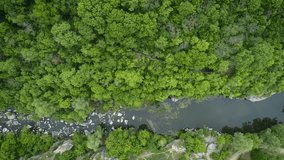 Aerial footage. Fly over river in forest. Top view